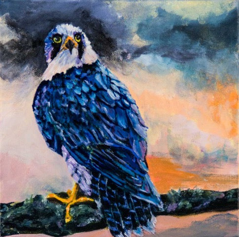 "Blue Falcon - Royalty of the Skies" - Oil Painting (12"x12")
