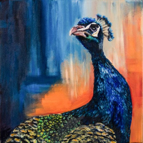 "Proud Peacock" - Oil Painting (12"x12")